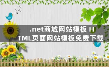 .net商城网站模板 HTML页面网站模板免费下载